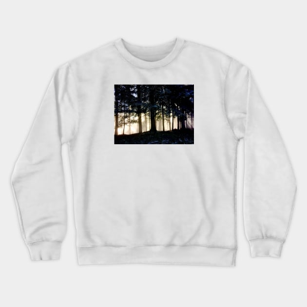 Sun rays tree trunks / Swiss Artwork Photography Crewneck Sweatshirt by RaphaelWolf